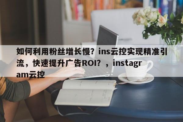 如何利用粉丝增长慢？ins云控实现精准引流，快速提升广告ROI？，instagram云控