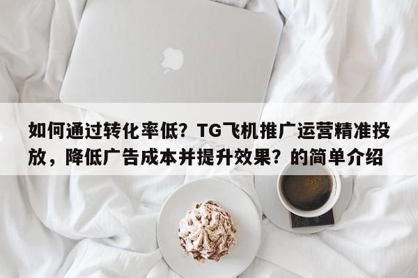 如何通过转化率低？TG飞机推广运营精准投放，降低广告成本并提升效果？的简单介绍