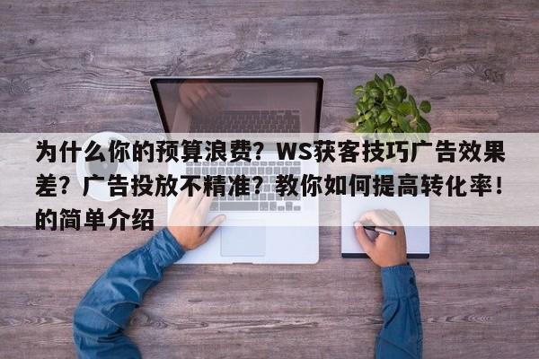 为什么你的预算浪费？WS获客技巧广告效果差？广告投放不精准？教你如何提高转化率！的简单介绍