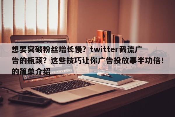 想要突破粉丝增长慢？twitter截流广告的瓶颈？这些技巧让你广告投放事半功倍！的简单介绍