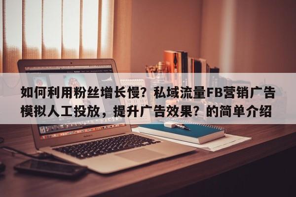 如何利用粉丝增长慢？私域流量FB营销广告模拟人工投放，提升广告效果？的简单介绍