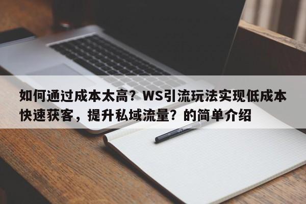 如何通过成本太高？WS引流玩法实现低成本快速获客，提升私域流量？的简单介绍