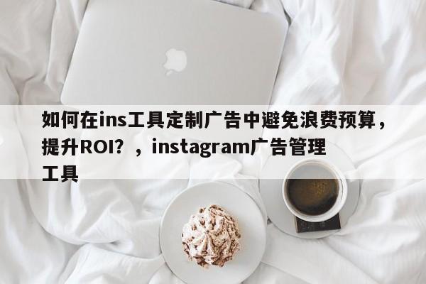 如何在ins工具定制广告中避免浪费预算，提升ROI？，instagram广告管理工具