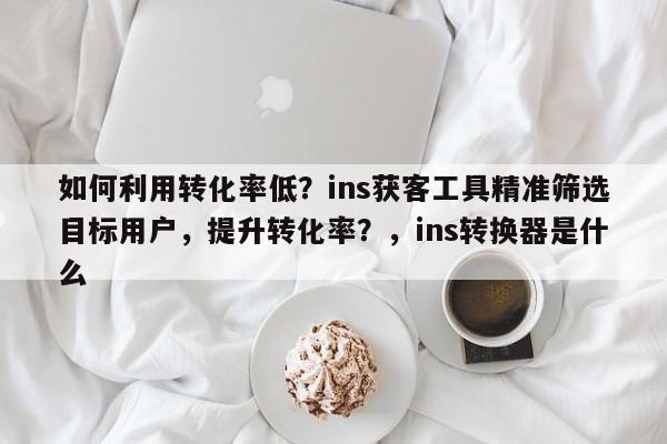 如何利用转化率低？ins获客工具精准筛选目标用户，提升转化率？，ins转换器是什么