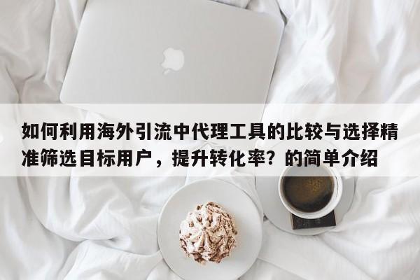 如何利用海外引流中代理工具的比较与选择精准筛选目标用户，提升转化率？的简单介绍