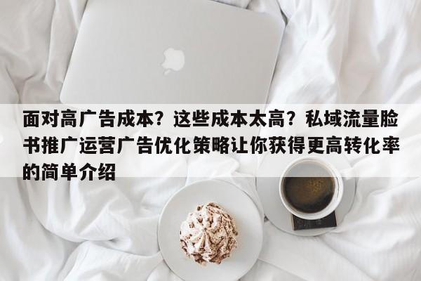 面对高广告成本？这些成本太高？私域流量脸书推广运营广告优化策略让你获得更高转化率的简单介绍