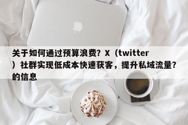 关于如何通过预算浪费？X（twitter）社群实现低成本快速获客，提升私域流量？的信息