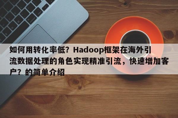 如何用转化率低？Hadoop框架在海外引流数据处理的角色实现精准引流，快速增加客户？的简单介绍