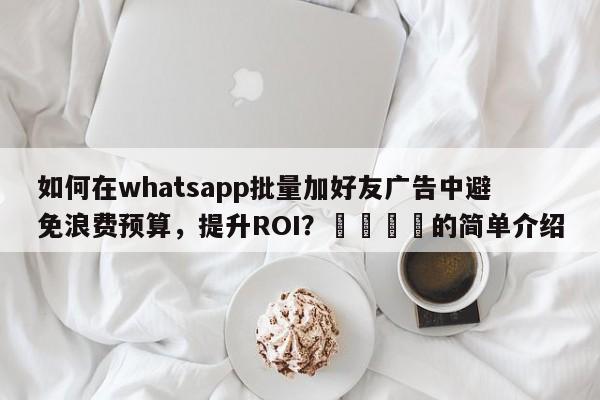 如何在whatsapp批量加好友广告中避免浪费预算，提升ROI？🎯的简单介绍
