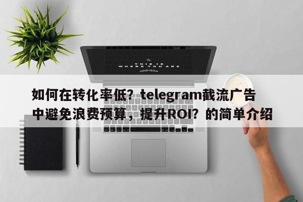 如何在转化率低？telegram截流广告中避免浪费预算，提升ROI？的简单介绍