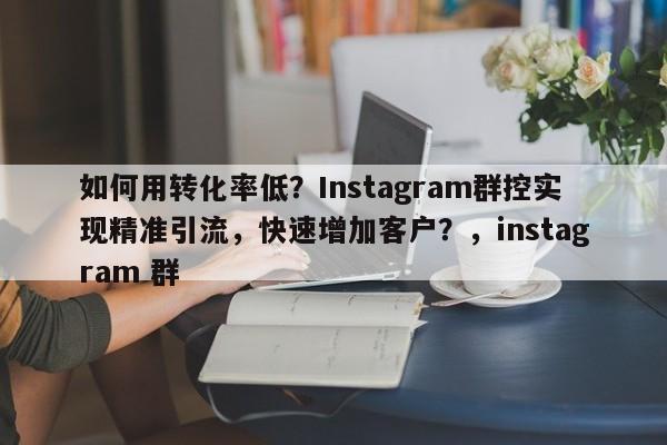 如何用转化率低？Instagram群控实现精准引流，快速增加客户？，instagram 群