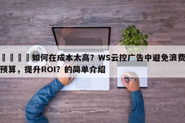 📣如何在成本太高？WS云控广告中避免浪费预算，提升ROI？的简单介绍
