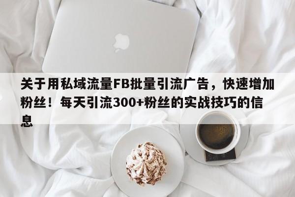 关于用私域流量FB批量引流广告，快速增加粉丝！每天引流300+粉丝的实战技巧的信息