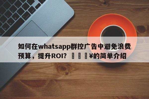 如何在whatsapp群控广告中避免浪费预算，提升ROI？🔥的简单介绍