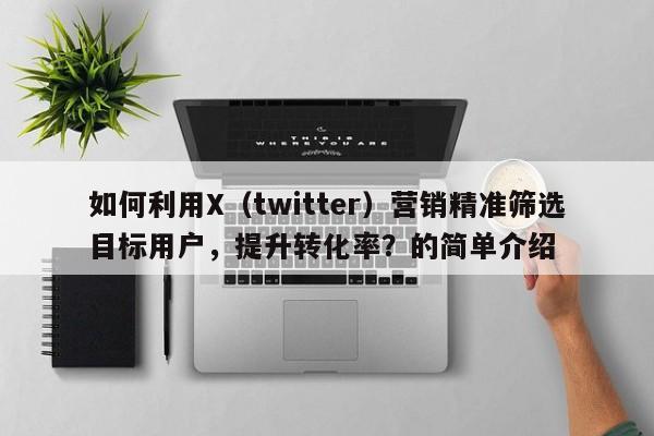如何利用X（twitter）营销精准筛选目标用户，提升转化率？的简单介绍