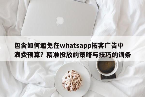 包含如何避免在whatsapp拓客广告中浪费预算？精准投放的策略与技巧的词条