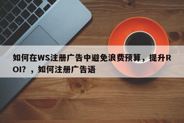 如何在WS注册广告中避免浪费预算，提升ROI？，如何注册广告语