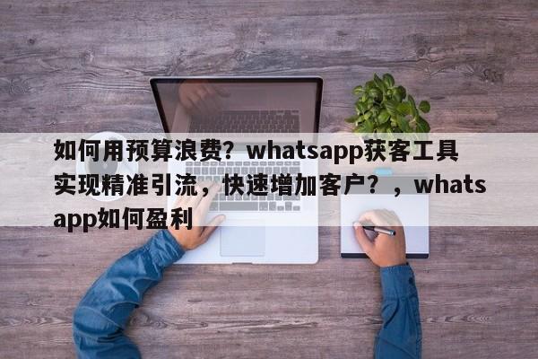 如何用预算浪费?whatsapp获客工具实现精准引流,快速增加客户?,whatsapp如何盈利