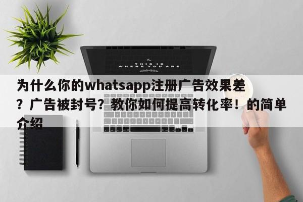 为什么你的whatsapp注册广告效果差？广告被封号？教你如何提高转化率！的简单介绍