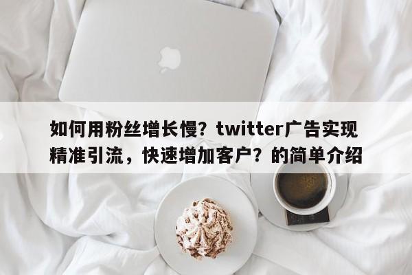 如何用粉丝增长慢?twitter广告实现精准引流,快速增加客户?的简单介绍