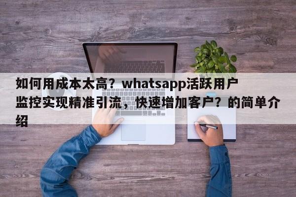 如何用成本太高?whatsapp活跃用户监控实现精准引流,快速增加客户?的简单介绍