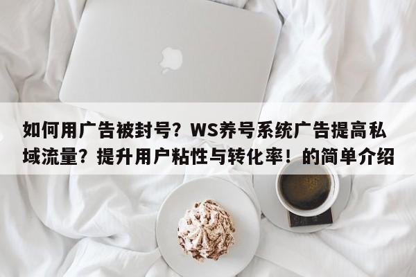如何用广告被封号?WS养号系统广告提高私域流量?提升用户粘性与转化率!的简单介绍