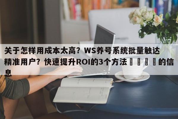 关于怎样用成本太高?WS养号系统批量触达精准用户?快速提升ROI的3个方法🚀的信息