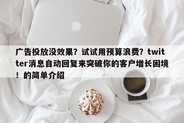 广告投放没效果？试试用预算浪费？twitter消息自动回复来突破你的客户增长困境！的简单介绍
