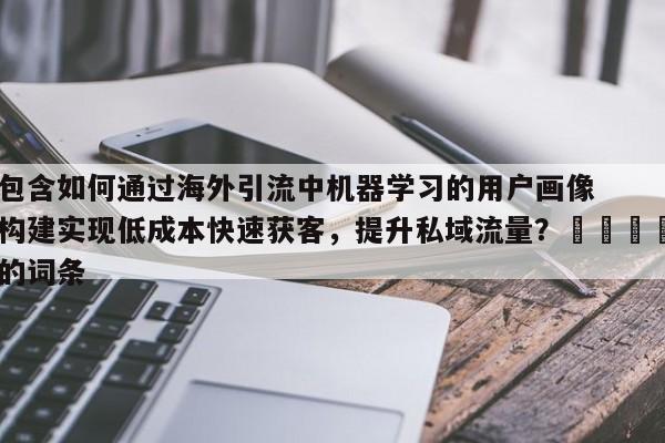 包含如何通过海外引流中机器学习的用户画像构建实现低成本快速获客,提升私域流量?📣的词条