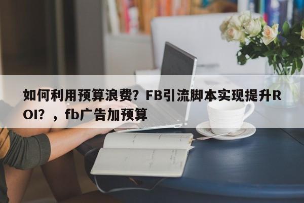 如何利用预算浪费？FB引流脚本实现提升ROI？，fb广告加预算