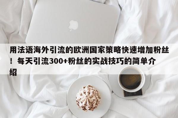 用法语海外引流的欧洲国家策略快速增加粉丝!每天引流300+粉丝的实战技巧的简单介绍