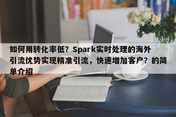 如何用转化率低?Spark实时处理的海外引流优势实现精准引流,快速增加客户?的简单介绍