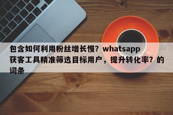 包含如何利用粉丝增长慢？whatsapp获客工具精准筛选目标用户，提升转化率？的词条