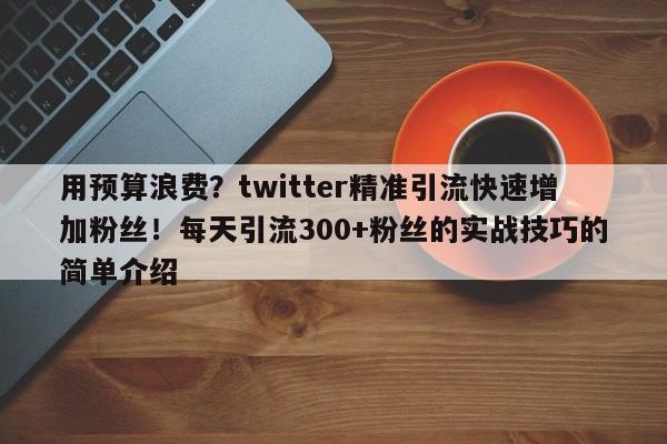 用预算浪费？twitter精准引流快速增加粉丝！每天引流300+粉丝的实战技巧的简单介绍