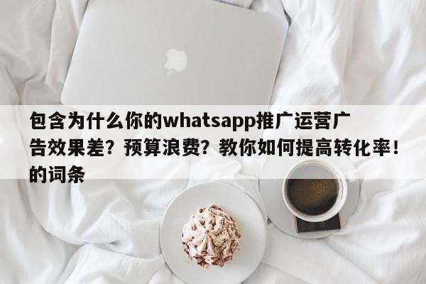 包含为什么你的whatsapp推广运营广告效果差?预算浪费?教你如何提高转化率!的词条