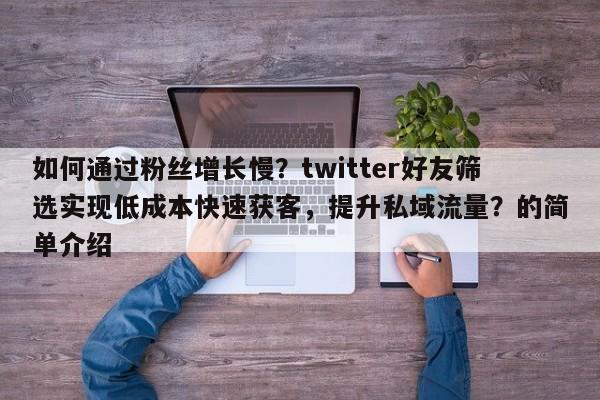如何通过粉丝增长慢？twitter好友筛选实现低成本快速获客，提升私域流量？的简单介绍