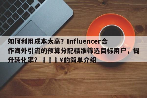 如何利用成本太高?Influencer合作海外引流的预算分配精准筛选目标用户,提升转化率?💥的简单介绍