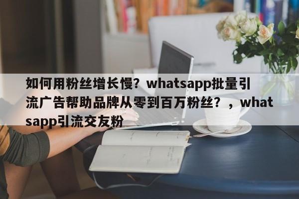 如何用粉丝增长慢?whatsapp批量引流广告帮助品牌从零到百万粉丝?,whatsapp引流交友粉