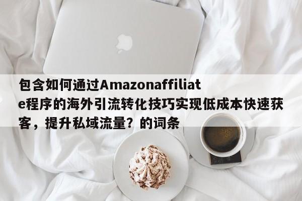 包含如何通过Amazonaffiliate程序的海外引流转化技巧实现低成本快速获客,提升私域流量?的词条