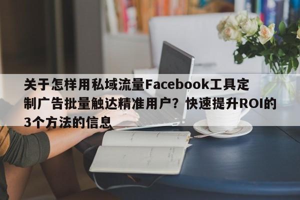 关于怎样用私域流量Facebook工具定制广告批量触达精准用户？快速提升ROI的3个方法的信息