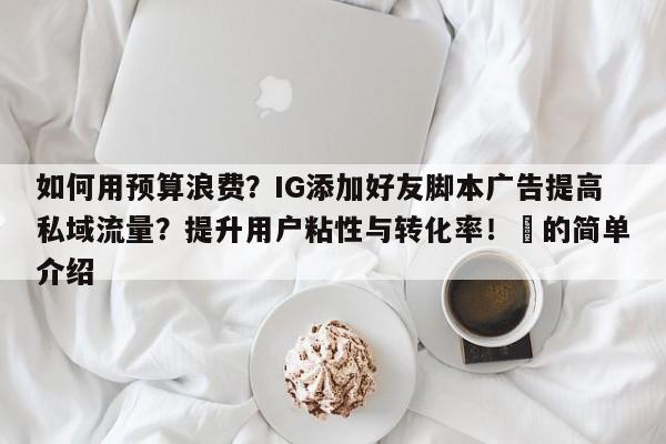 如何用预算浪费？IG添加好友脚本广告提高私域流量？提升用户粘性与转化率！⚡的简单介绍