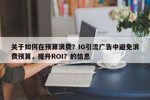 关于如何在预算浪费？IG引流广告中避免浪费预算，提升ROI？的信息