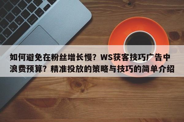 如何避免在粉丝增长慢?WS获客技巧广告中浪费预算?精准投放的策略与技巧的简单介绍