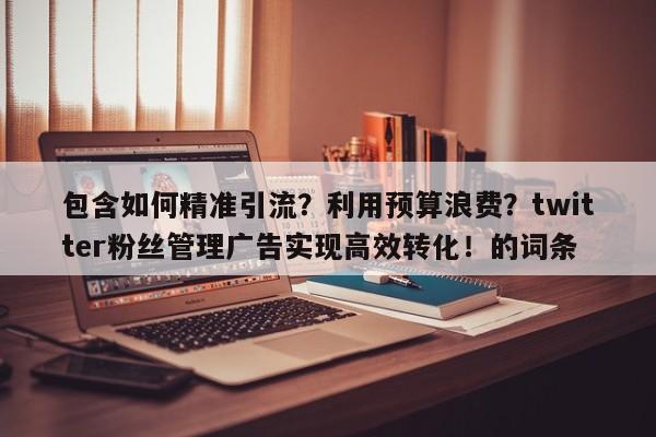 包含如何精准引流?利用预算浪费?twitter粉丝管理广告实现高效转化!的词条