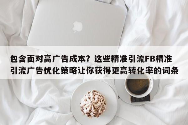包含面对高广告成本?这些精准引流FB精准引流广告优化策略让你获得更高转化率的词条