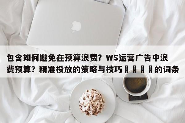 包含如何避免在预算浪费?WS运营广告中浪费预算?精准投放的策略与技巧🎯的词条