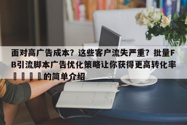 面对高广告成本?这些客户流失严重?批量FB引流脚本广告优化策略让你获得更高转化率🎯的简单介绍