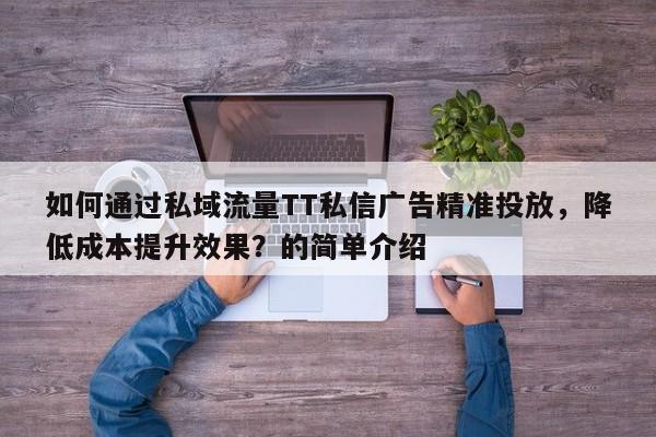 如何通过私域流量TT私信广告精准投放,降低成本提升效果?的简单介绍