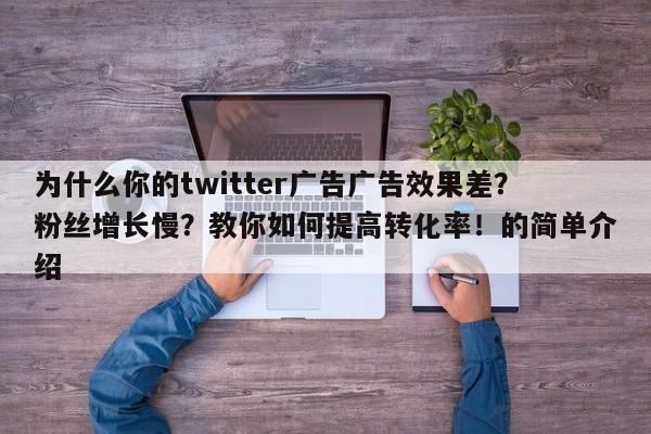 为什么你的twitter广告广告效果差？粉丝增长慢？教你如何提高转化率！的简单介绍