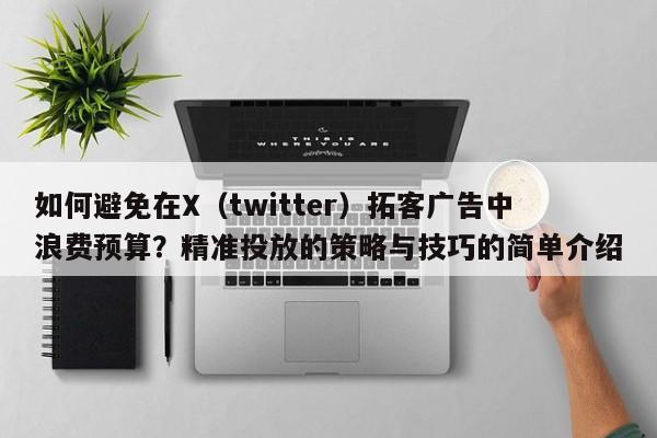 如何避免在X(twitter)拓客广告中浪费预算?精准投放的策略与技巧的简单介绍